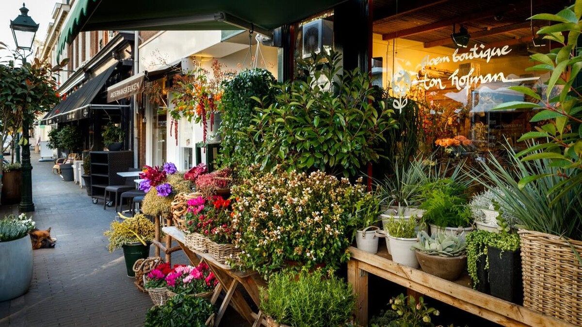 Foto's Bloemen Bezorgen Den Haag