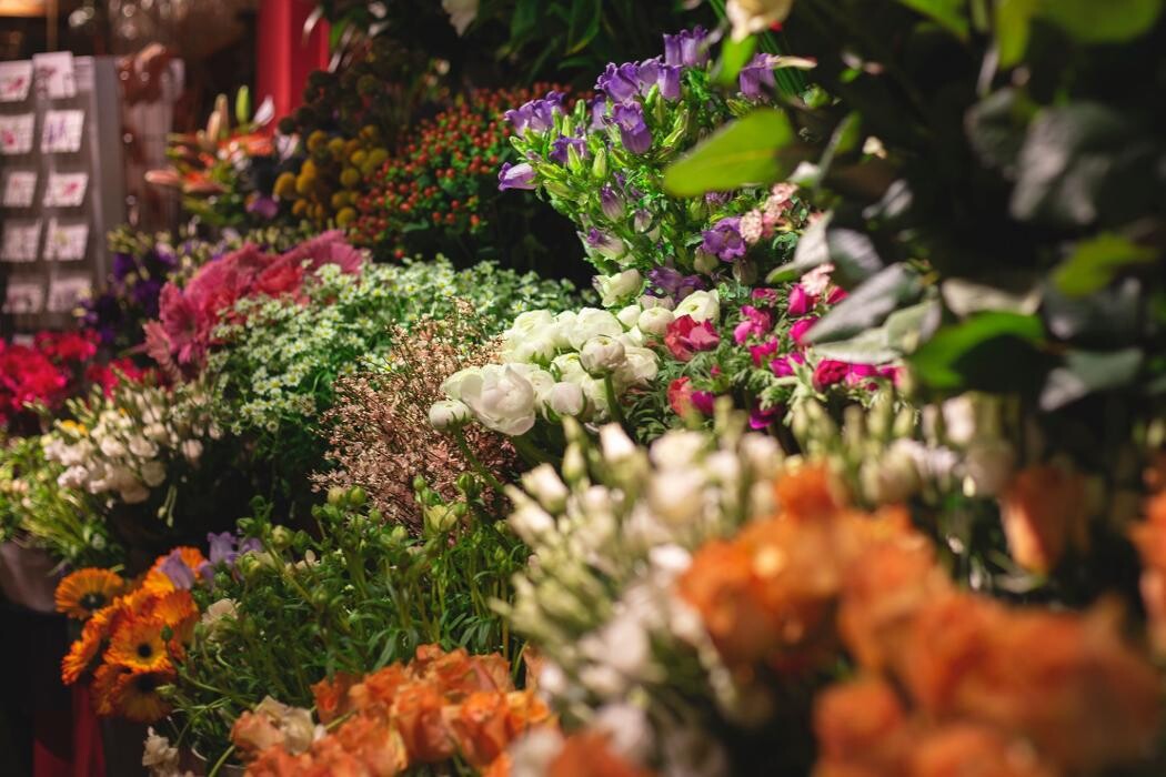 Foto's Bloemen Bezorgen Den Haag