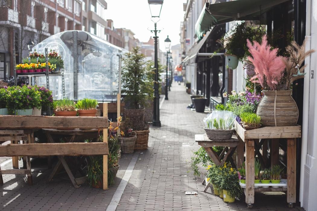 Foto's Bloemen Bezorgen Den Haag