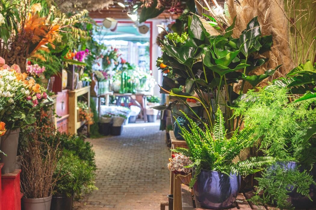 Foto's Bloemen Bezorgen Den Haag