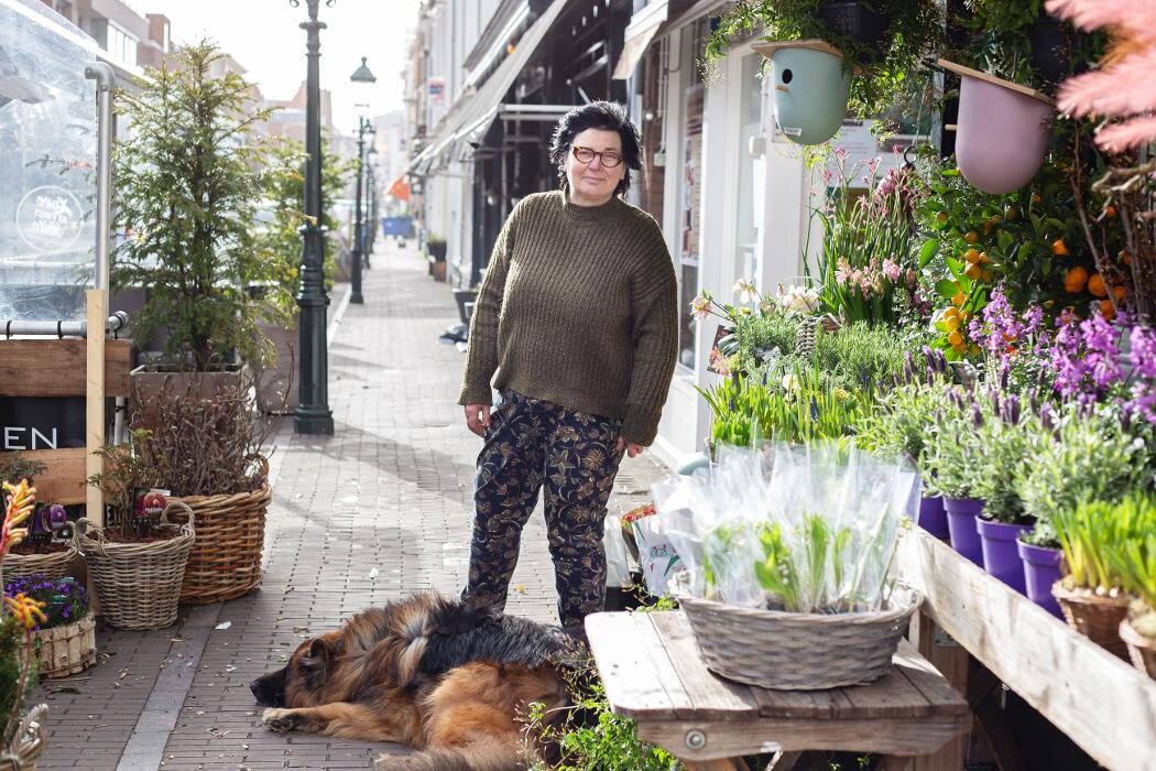 Foto's Bloemen Bezorgen Den Haag