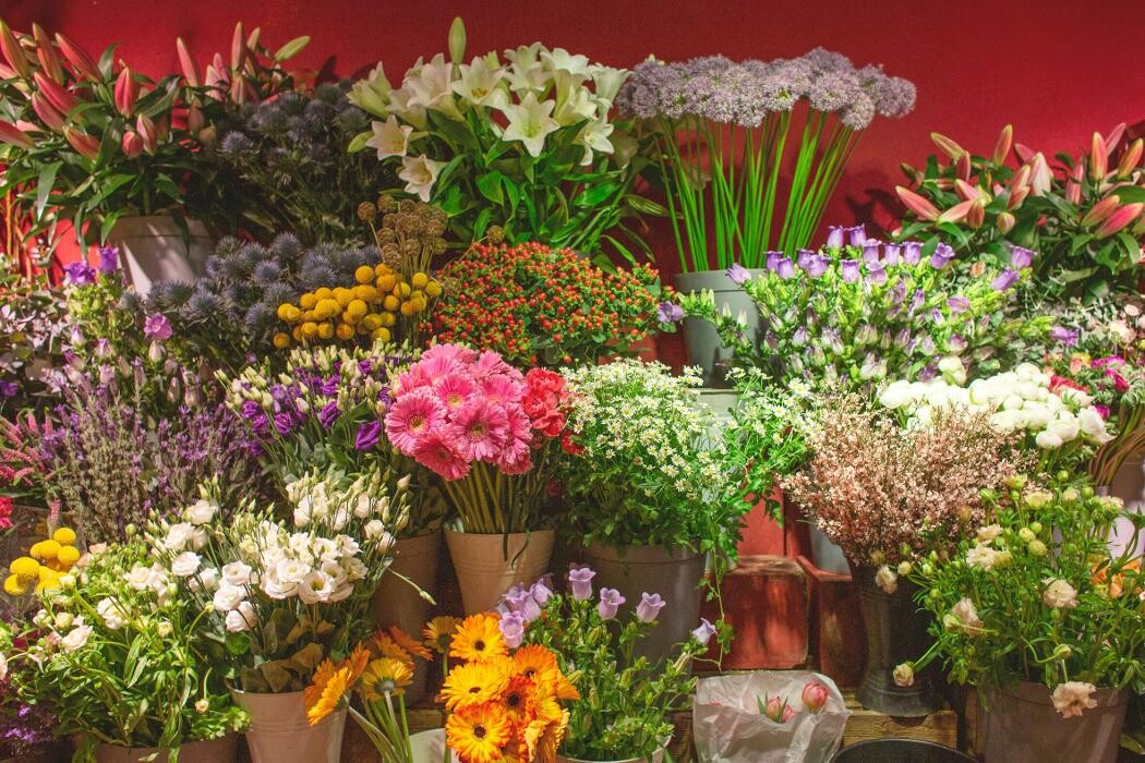 Foto's Bloemen Bezorgen Den Haag