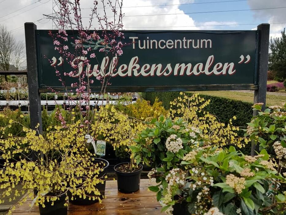 Foto's Tuincentrum Tullekensmolen