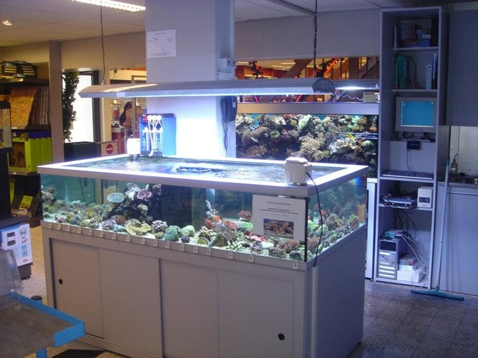 Foto's Pets Place