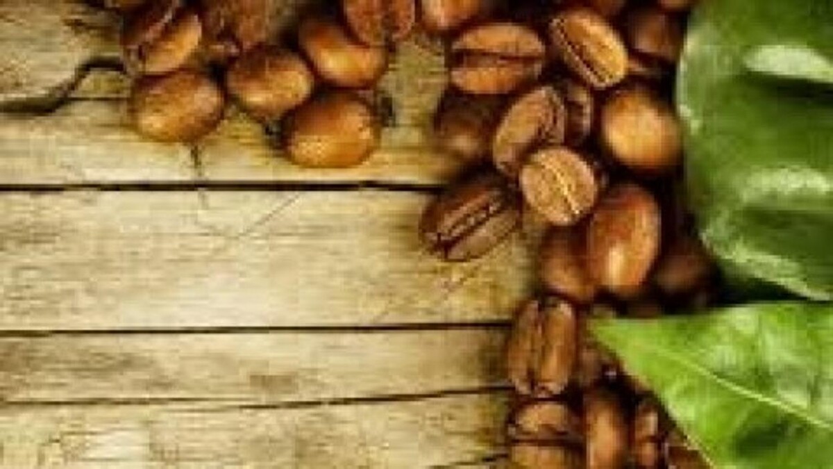 Foto's Grano Trading