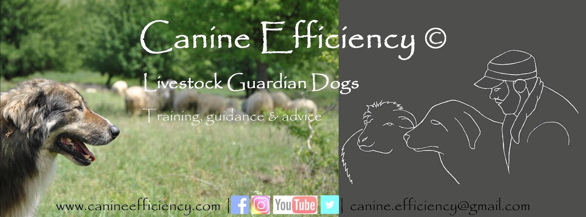 Foto's Canine Efficiency