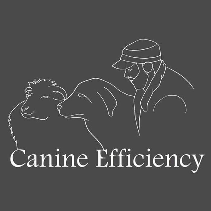 Foto's Canine Efficiency