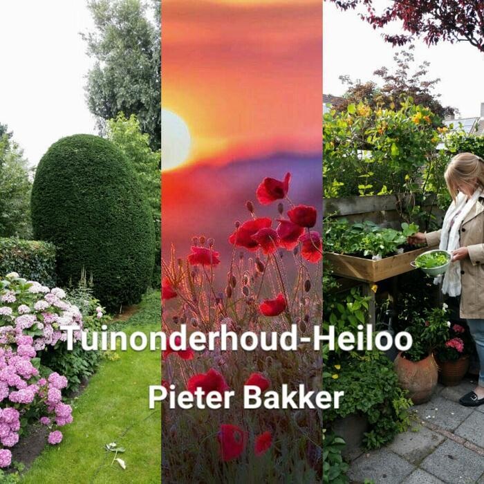 Foto's Tuinonderhoud-Heiloo