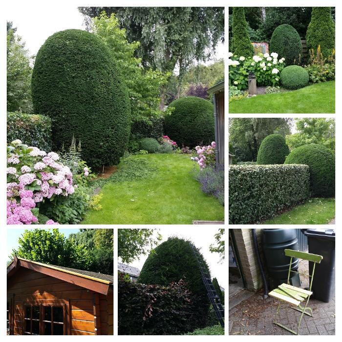Foto's Tuinonderhoud-Heiloo