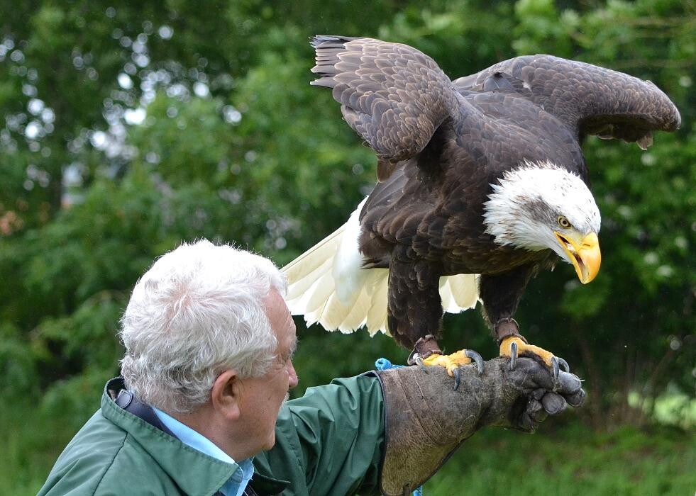 Foto's Roofvogelsenuilen