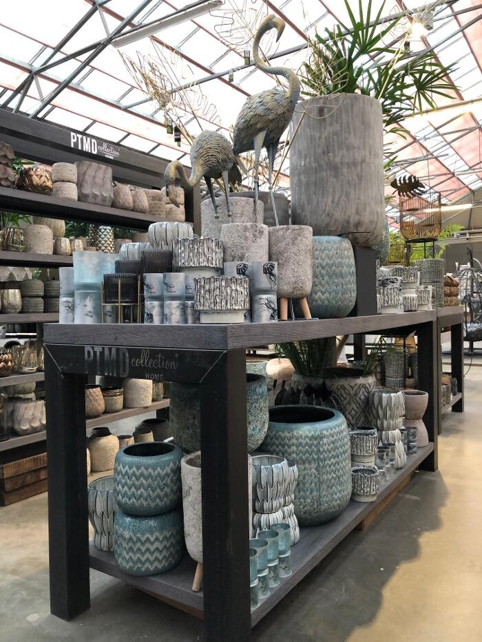Foto's Intratuin Hendrik Ido Ambacht