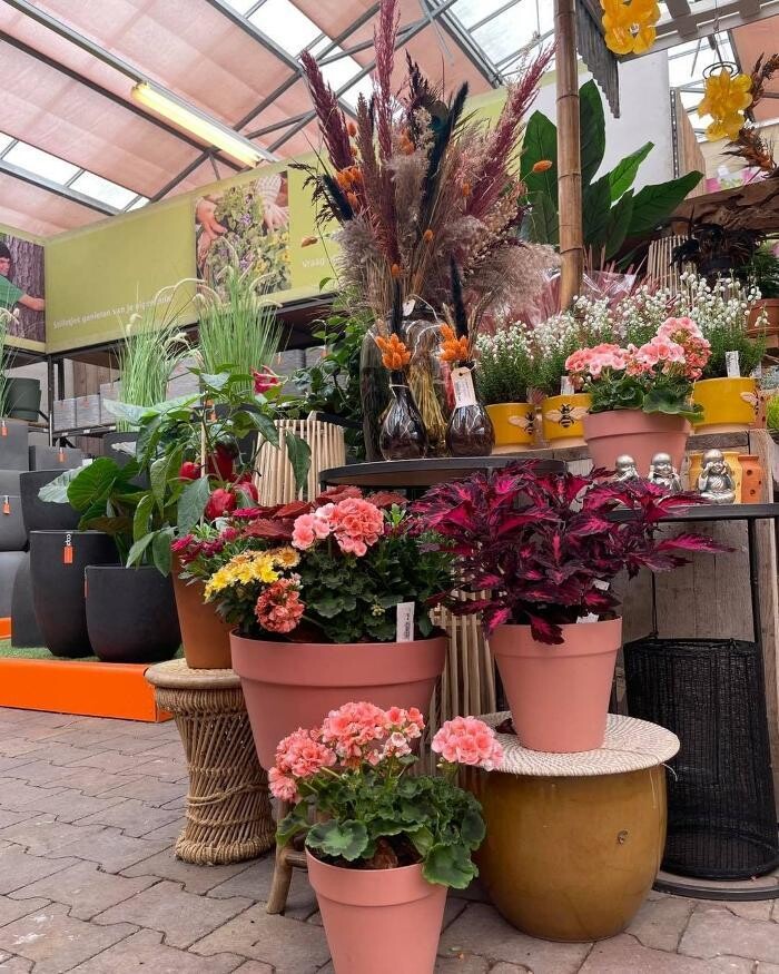 Foto's TuinWereld Dordrecht