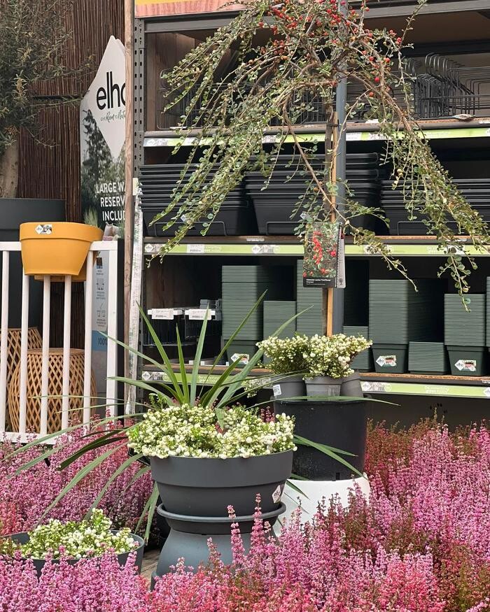 Foto's TuinWereld Dordrecht