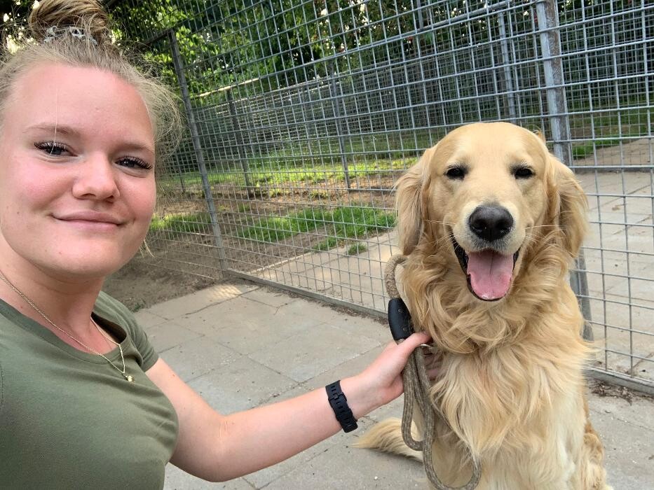 Foto's Kynologisch masseur Achterhoek