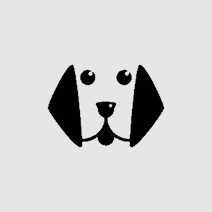 Uitlaatservice Direct Logo