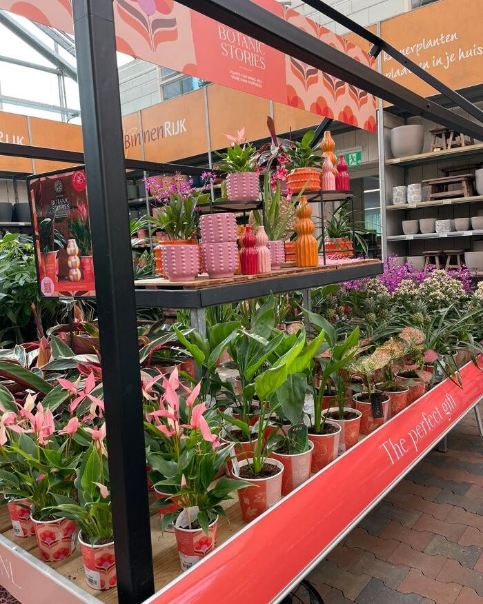Foto's GroenRijk de Wilskracht