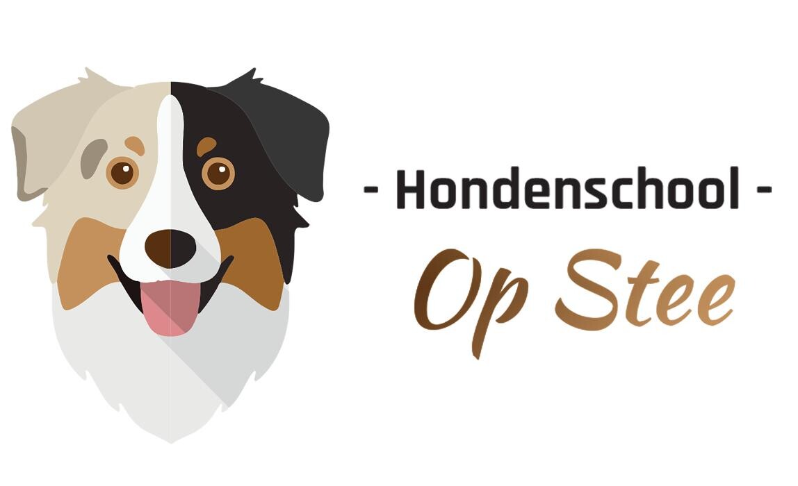 Foto's Hondenschool Op Stee