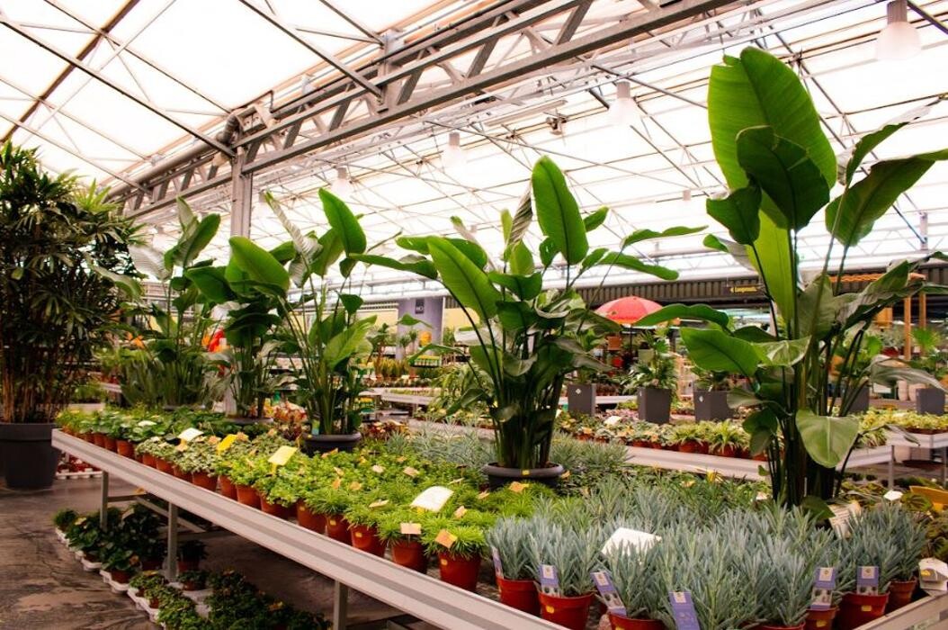Foto's Tuincentrum Eurofleur