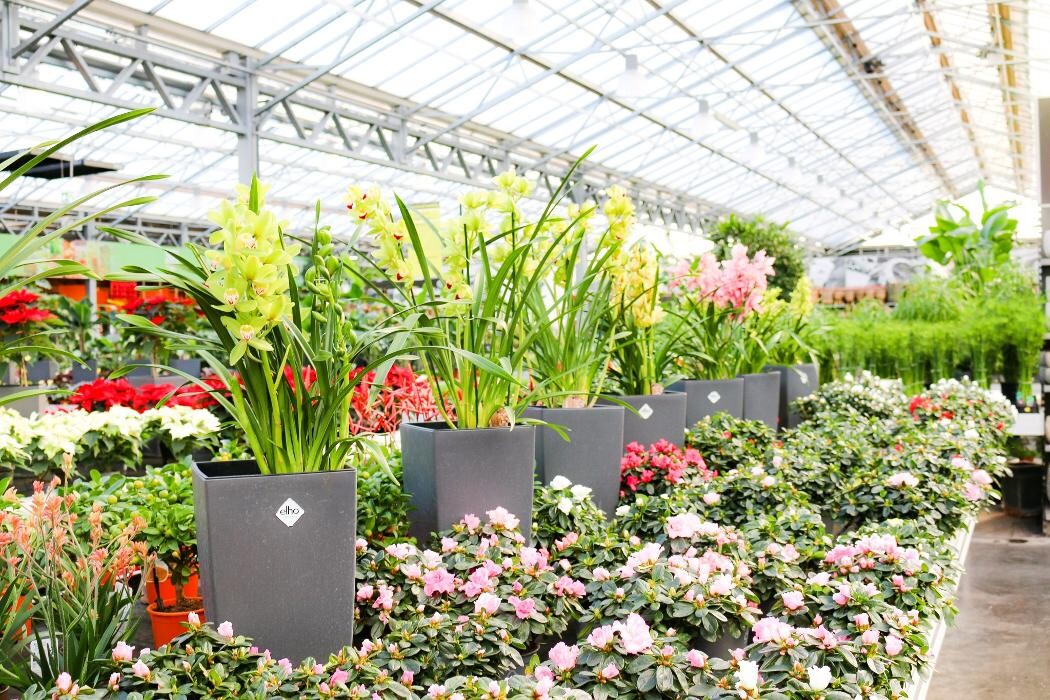 Foto's Tuincentrum Eurofleur