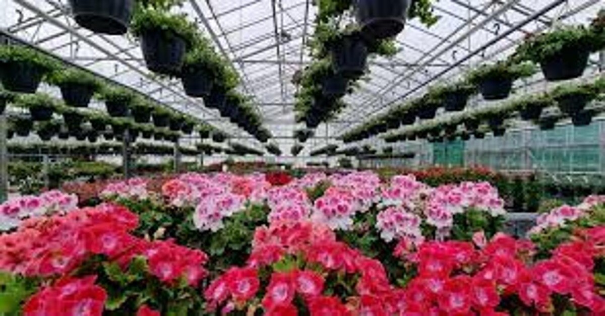 Foto's Kwekerij en Tuincentrum Souman
