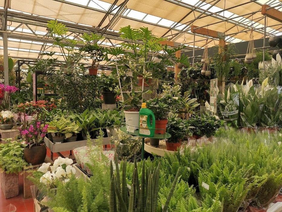 Foto's AVRI Bloem- en Tuincentrum