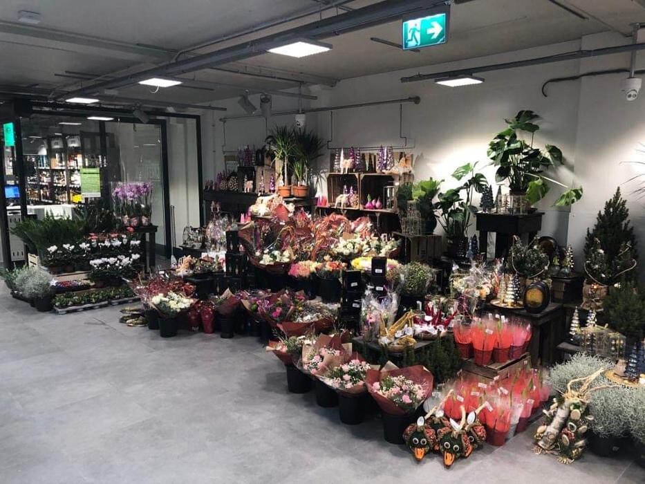 Foto's PLUS Simonides