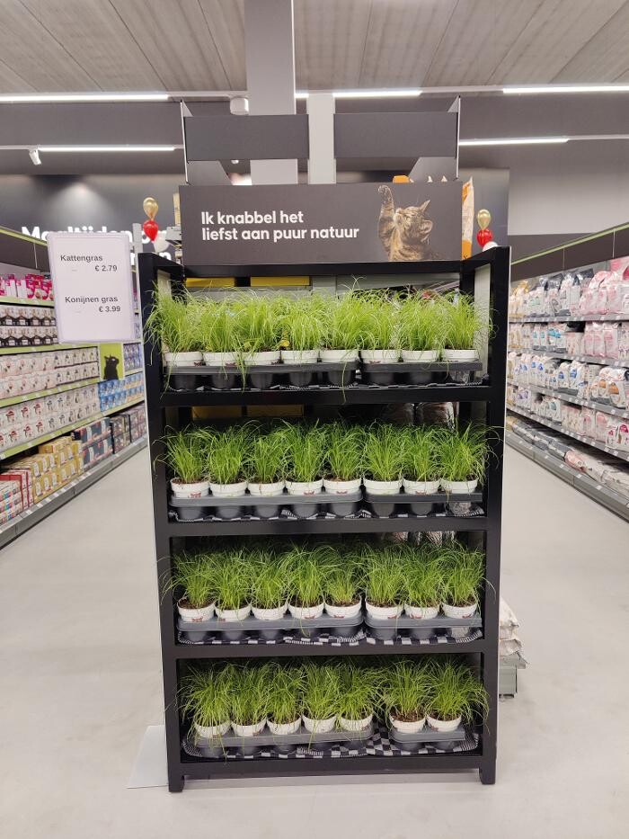 Foto's Pets Place