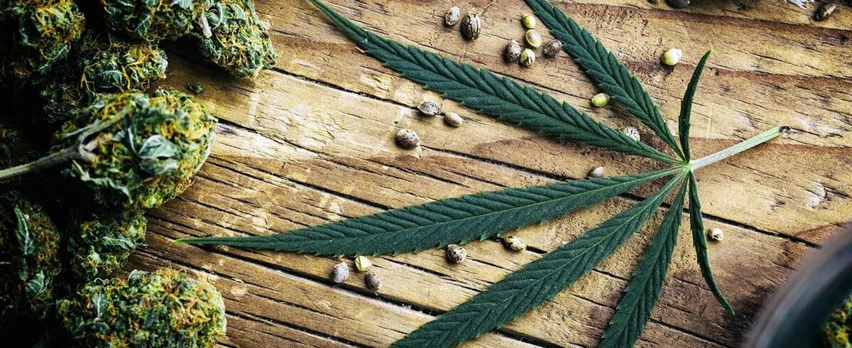 Foto's WeedSeedsExpress