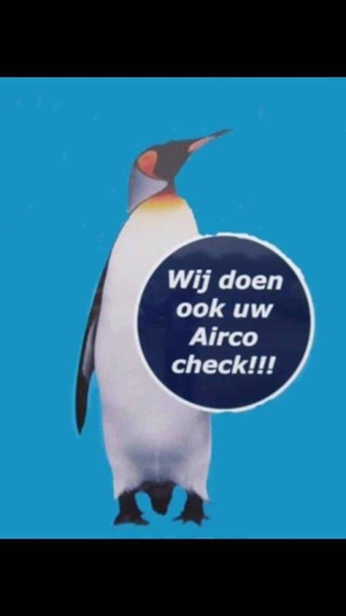 Foto's Autovakmeester Wemmenhove PCA Dealer Citroën Peugeot Renault en Wemmenhove Autoverhuur