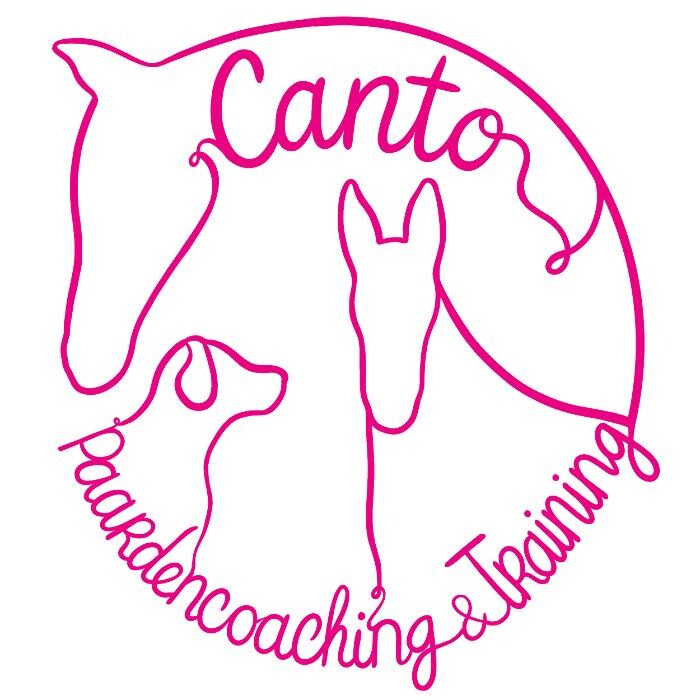 Canto Paardencoaching & Training Logo