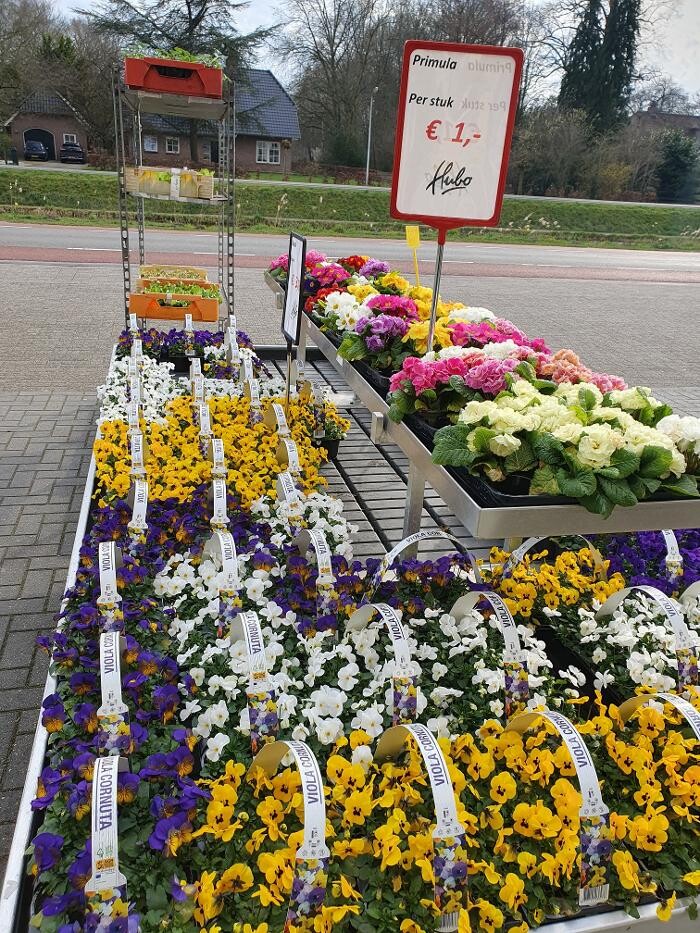 Foto's Hubo XL bouwmarkt Lemelerveld