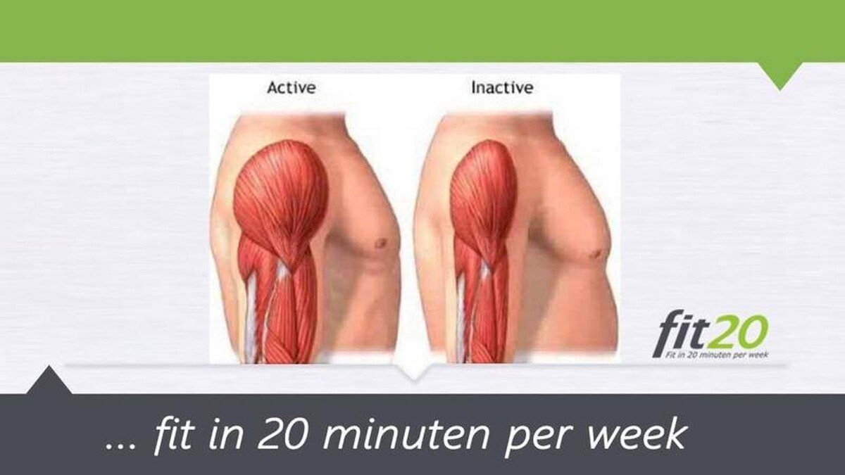 Foto's fit20 Assen | Personal training