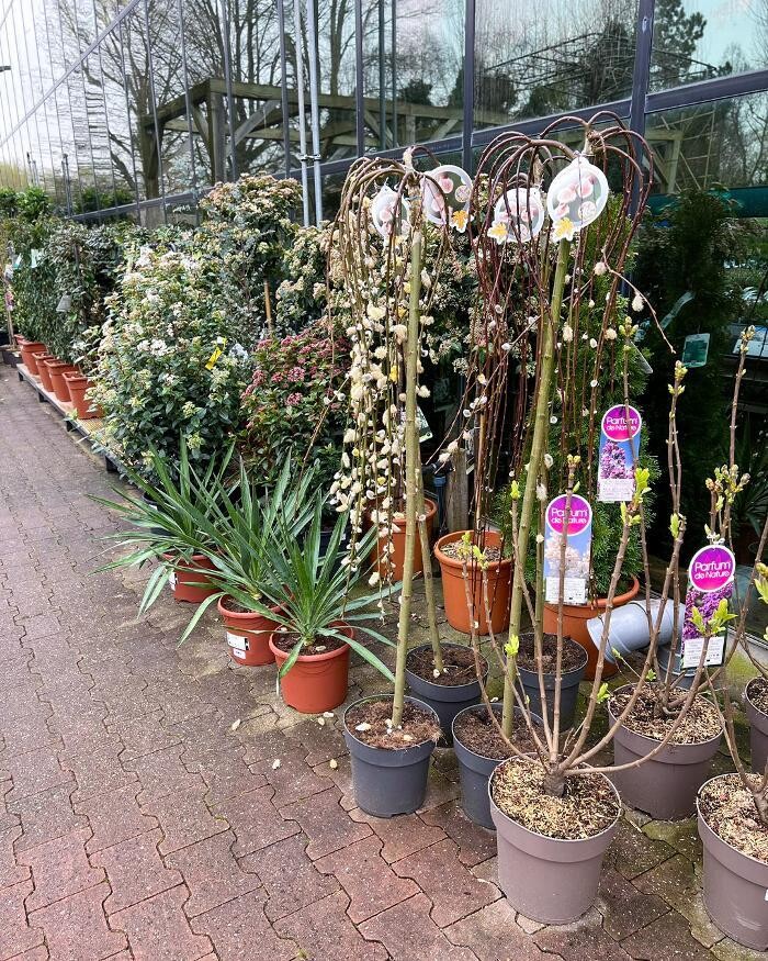 Foto's Intratuin Vleuterweide