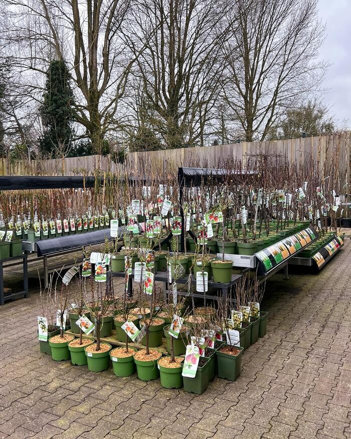 Foto's Intratuin Vleuterweide