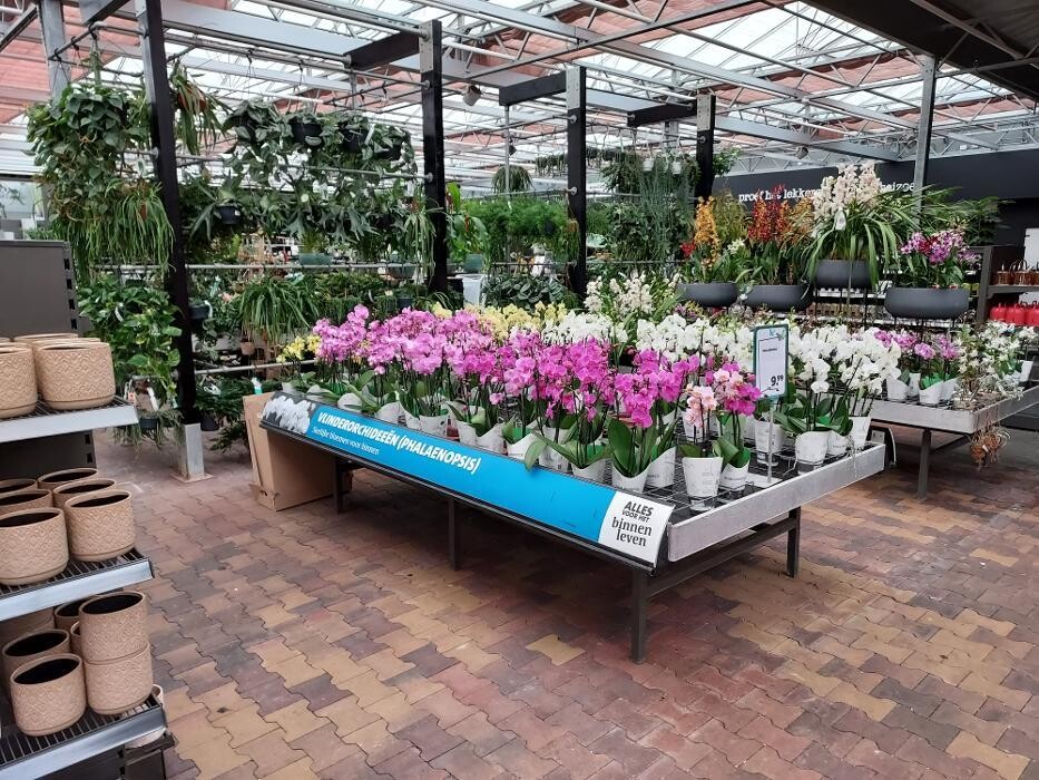 Foto's Intratuin Nijkerk