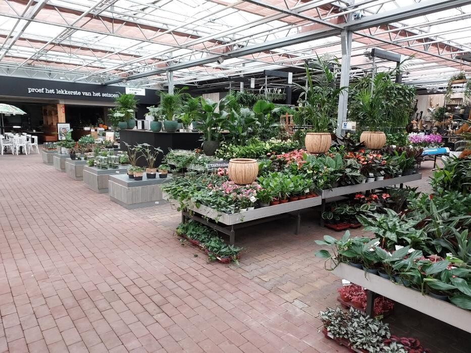 Foto's Intratuin Nijkerk