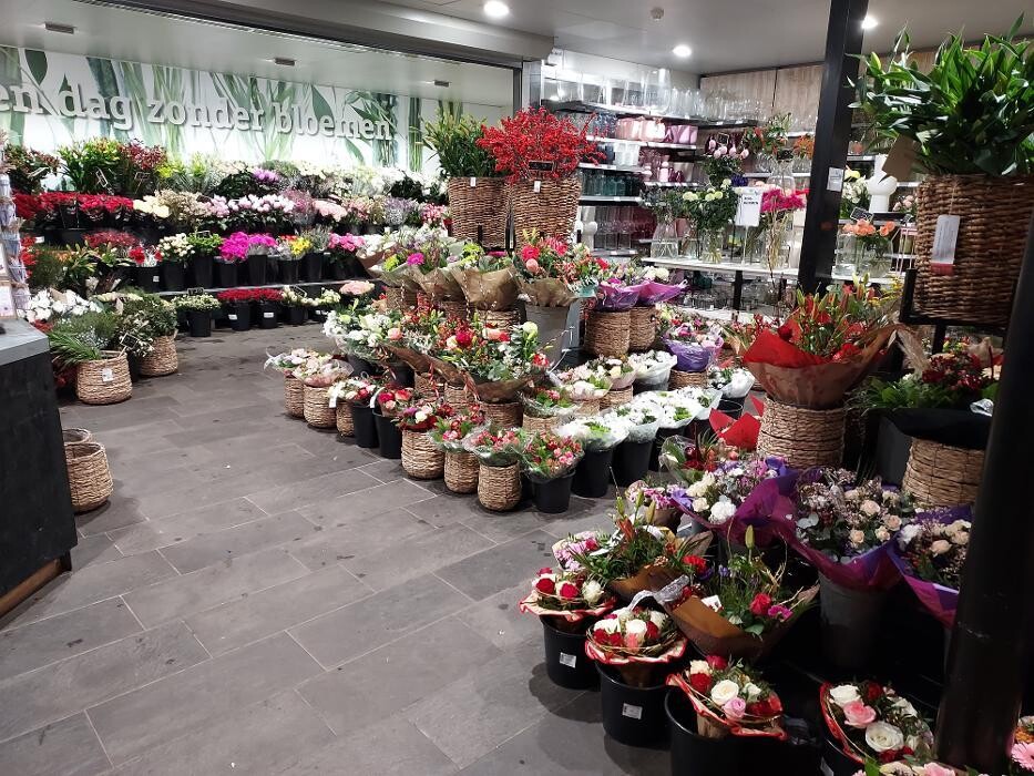 Foto's Intratuin Nijkerk