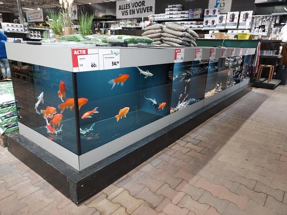 Foto's Intratuin Nijkerk