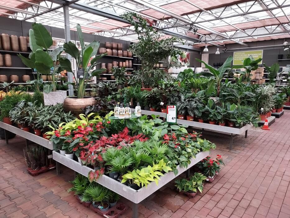 Foto's Intratuin Nijkerk