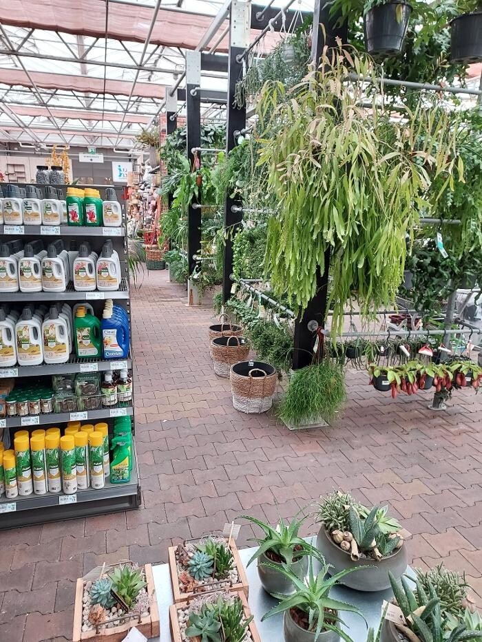 Foto's Intratuin Nijkerk