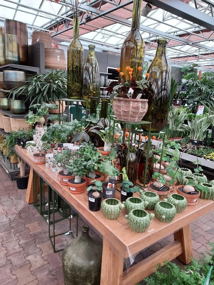 Foto's Intratuin Nijkerk