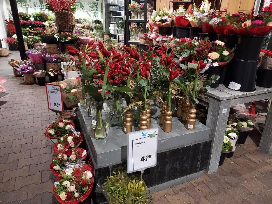 Foto's Intratuin Nijkerk