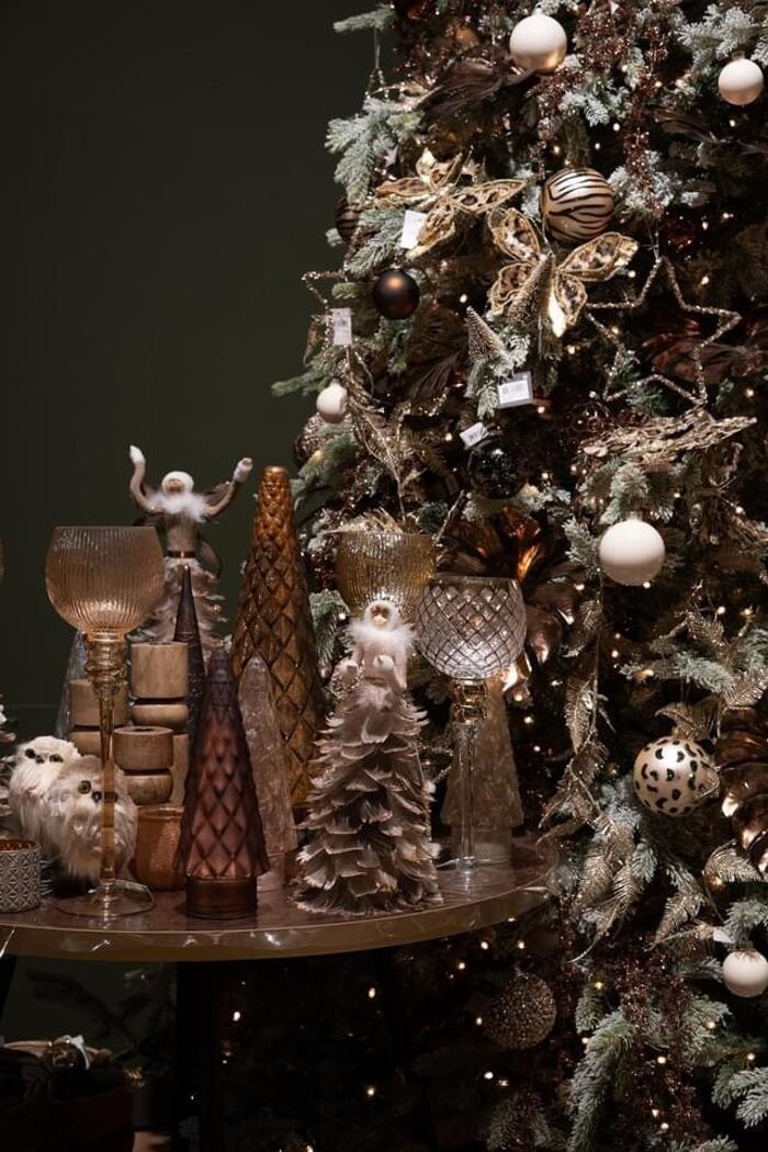 Foto's Intratuin Barneveld