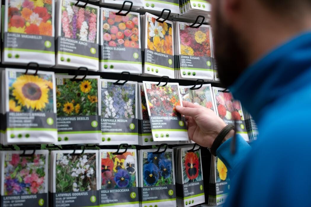 Foto's Intratuin Barneveld