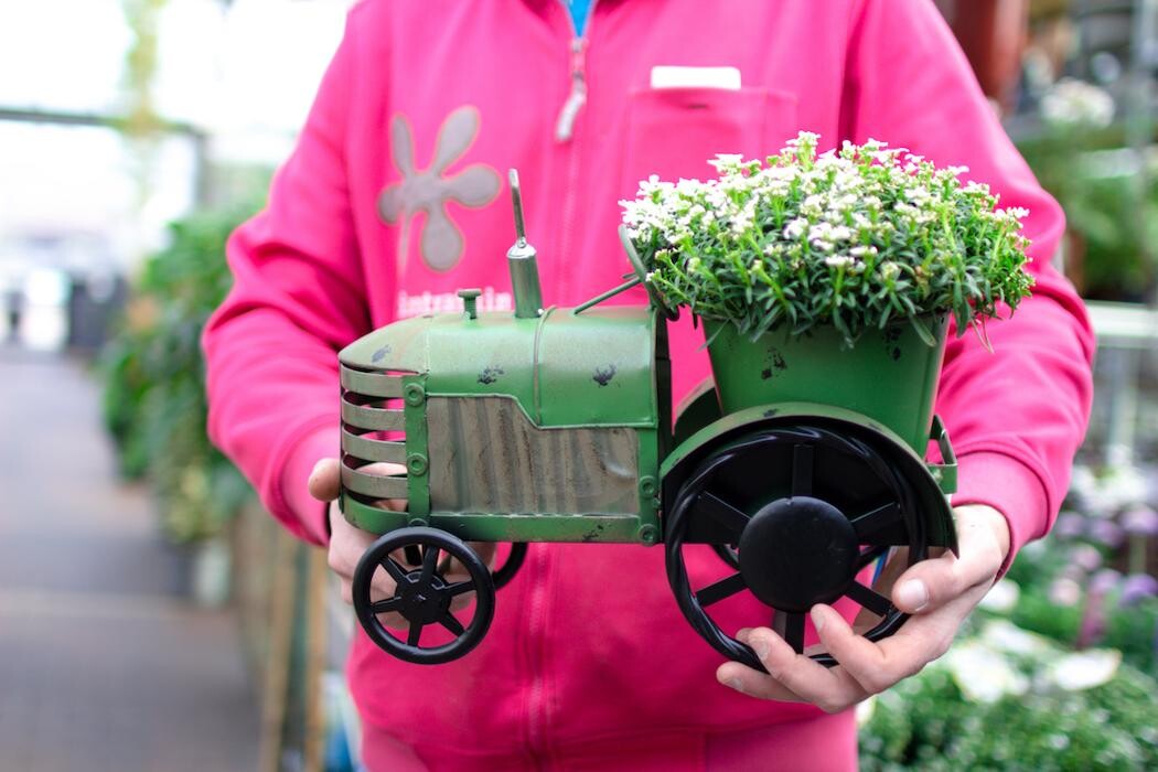 Foto's Intratuin Barneveld