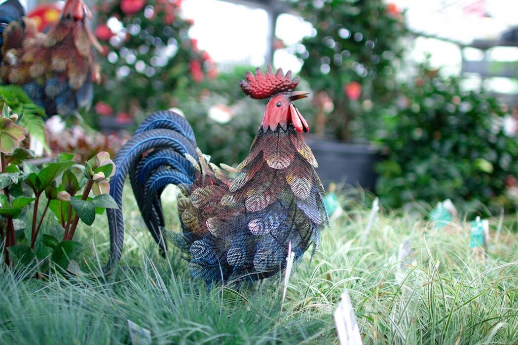 Foto's Intratuin Barneveld