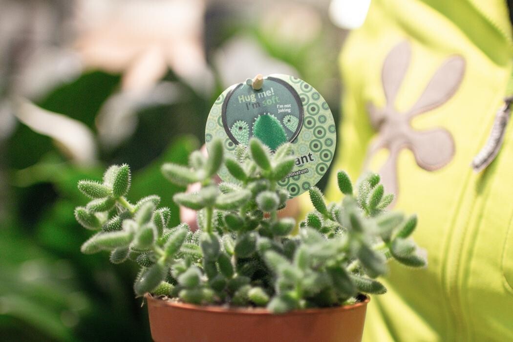 Foto's Intratuin Barneveld