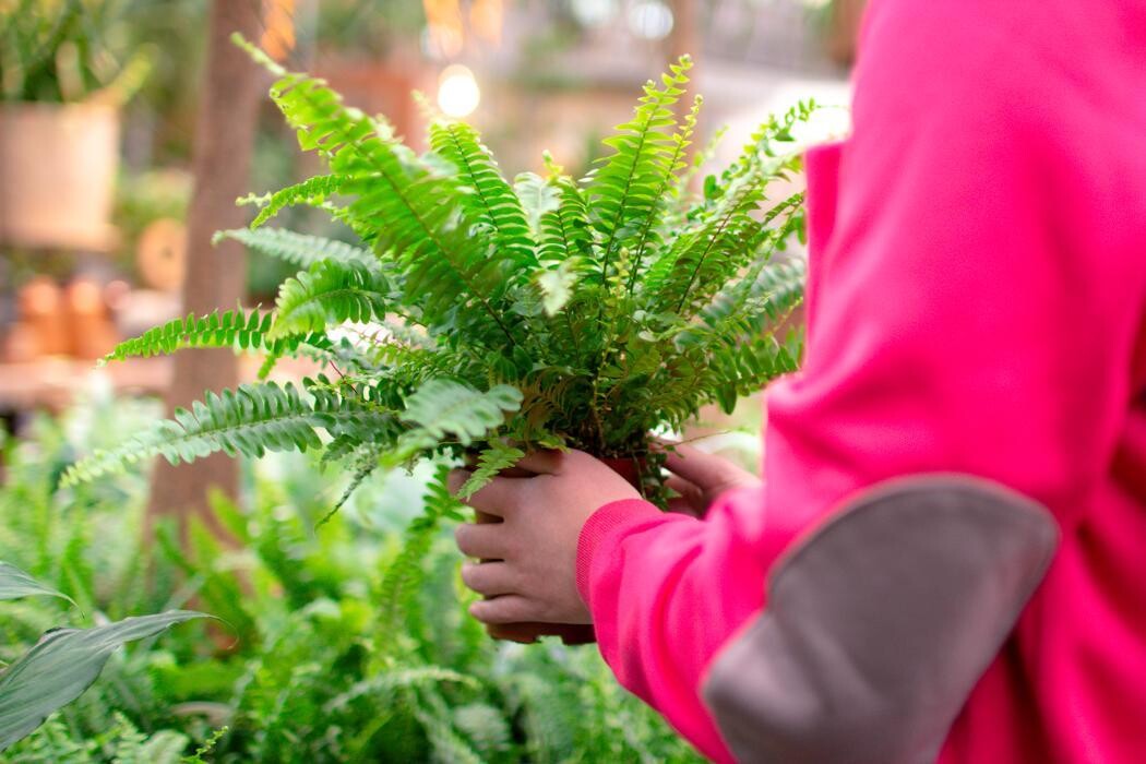 Foto's Intratuin Barneveld