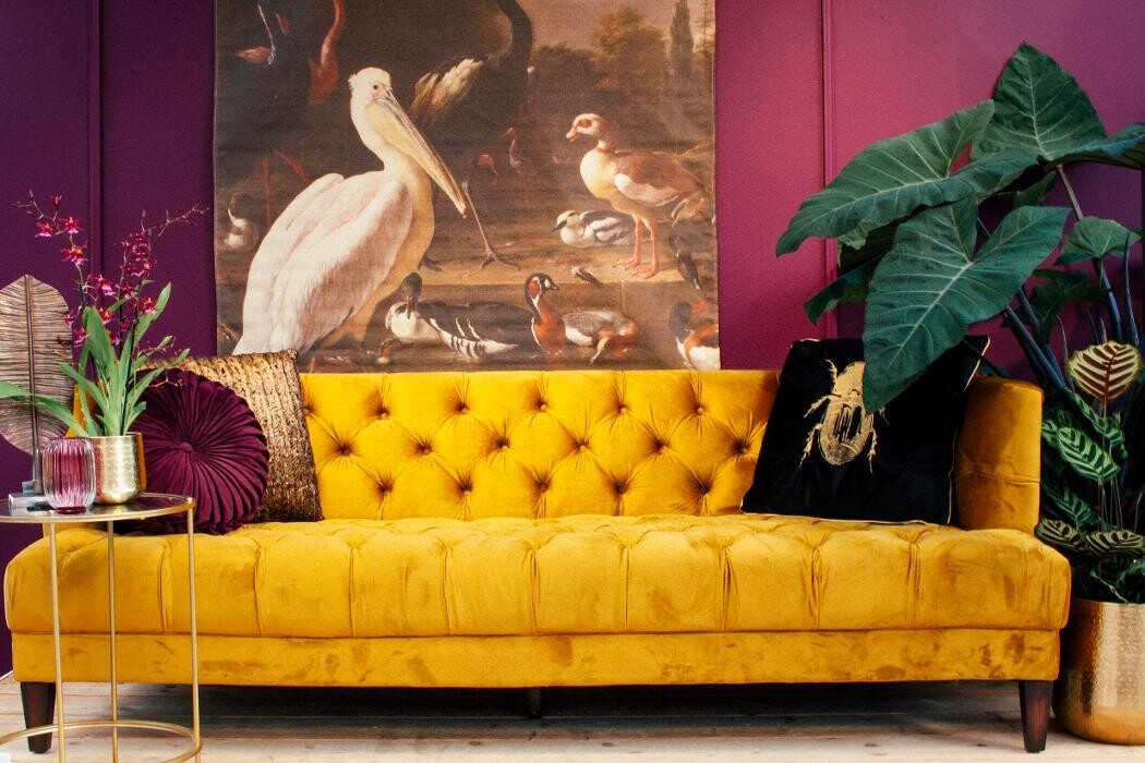 Foto's Intratuin Barneveld