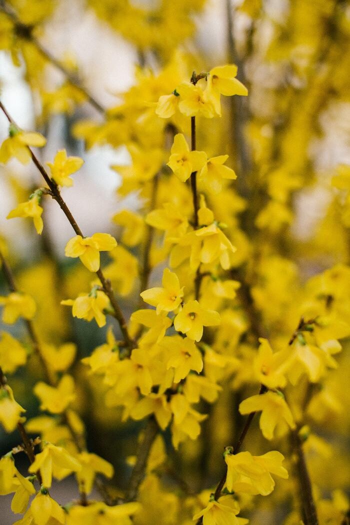 Foto's Intratuin Barneveld